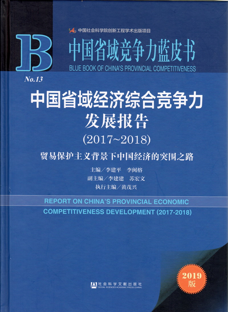 骚逼操死你视频中国省域经济综合竞争力发展报告（2017-2018）